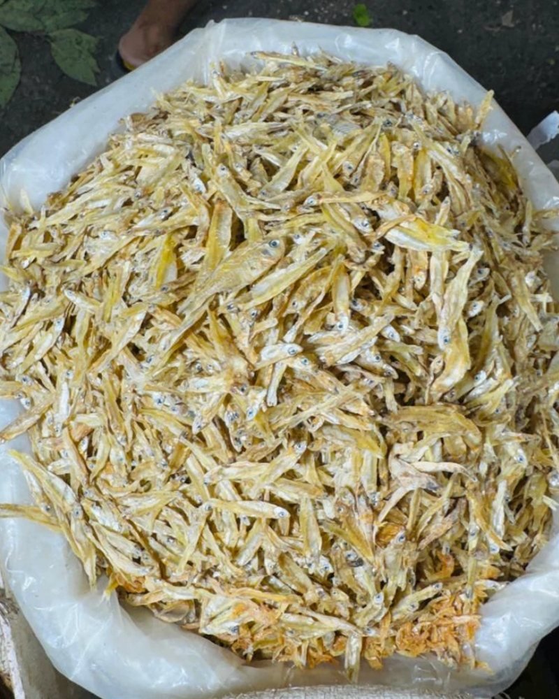 Bhati