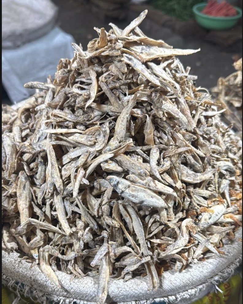Dandi (Masali)