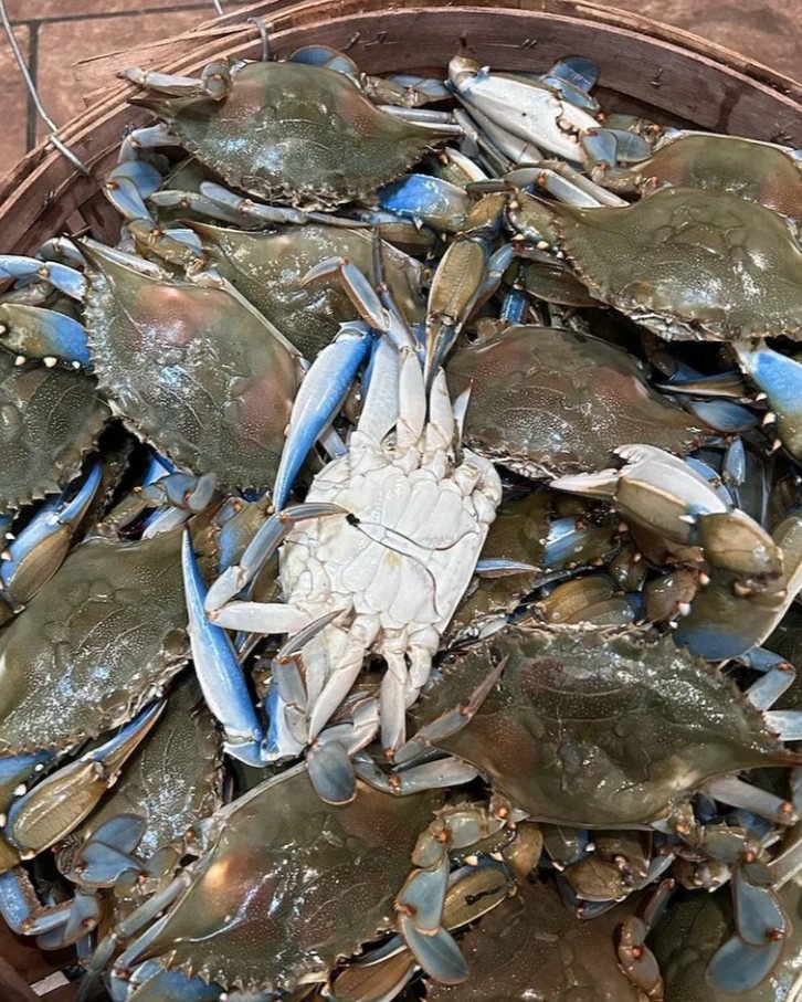 Crab