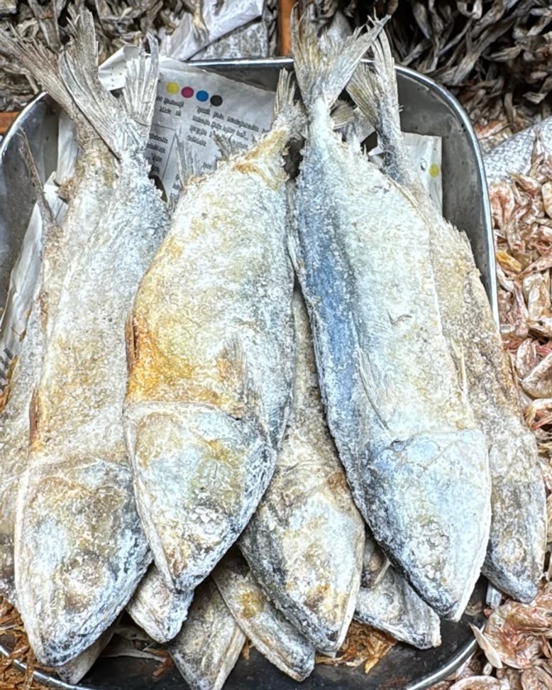 Khara Bangda (Salted Mackerel)
