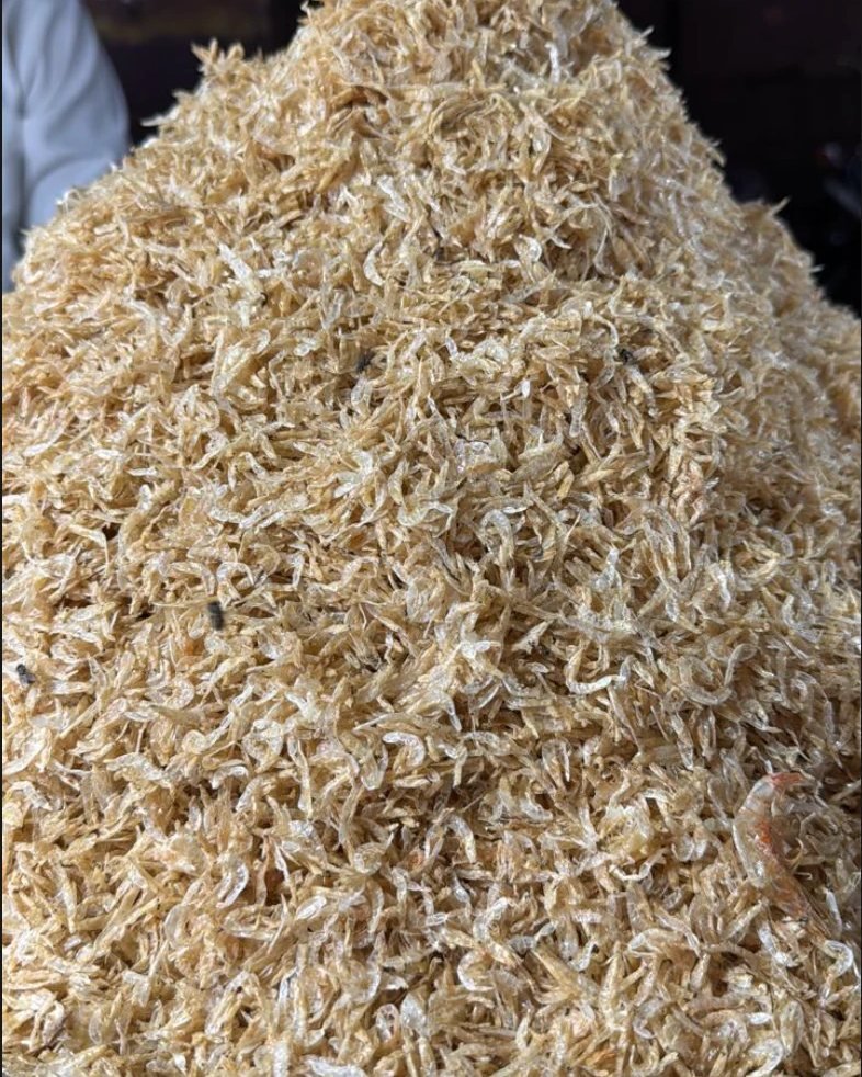 New Sukat (Small Prawns)
