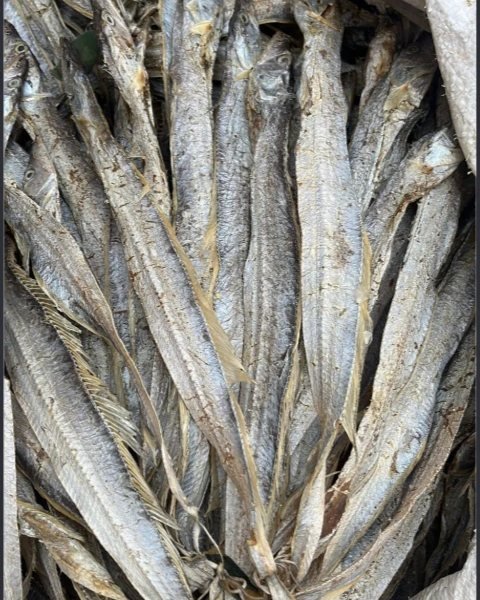Wakat (Ribbon Fish)