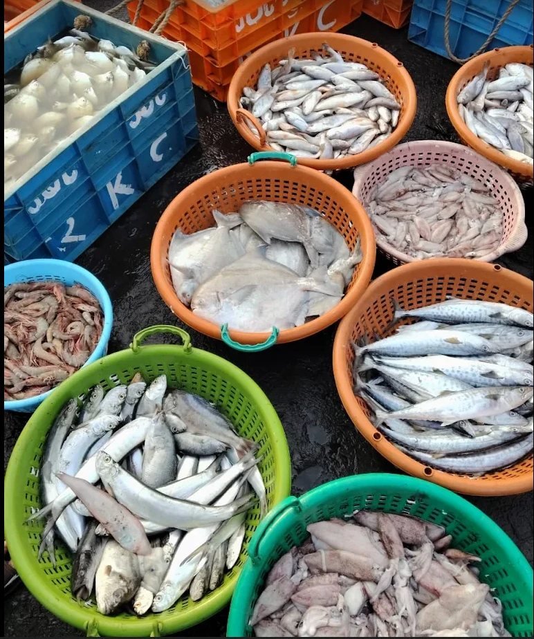 The day's catch: pomfret, surmai, prawns and more.