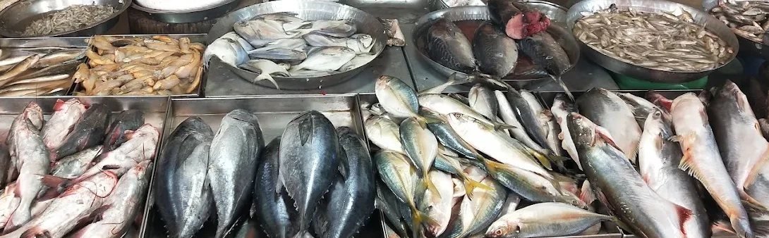 Fresh fish on the counter.